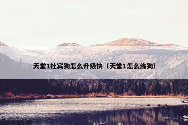 天堂1杜宾狗怎么升级快（天堂1怎么练狗）