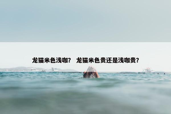 龙猫米色浅咖？ 龙猫米色贵还是浅咖贵？