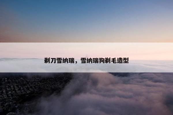剃刀雪纳瑞，雪纳瑞狗剃毛造型