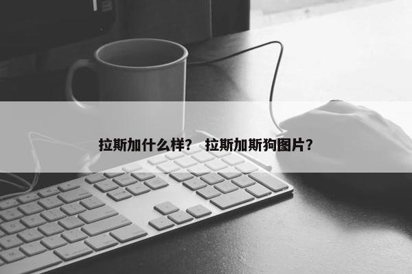 拉斯加什么样？ 拉斯加斯狗图片？
