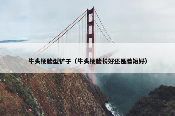 牛头梗脸型铲子（牛头梗脸长好还是脸短好）