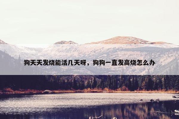 狗天天发烧能活几天呀，狗狗一直发高烧怎么办