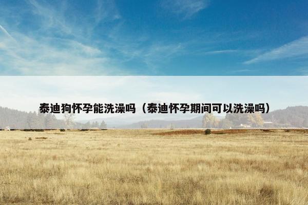 泰迪狗怀孕能洗澡吗（泰迪怀孕期间可以洗澡吗）