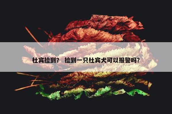 杜宾捡到？ 捡到一只杜宾犬可以报警吗？