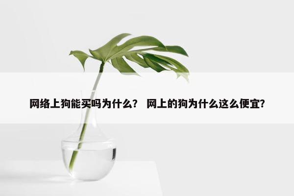 网络上狗能买吗为什么？ 网上的狗为什么这么便宜？