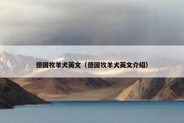 德国牧羊犬英文（德国牧羊犬英文介绍）