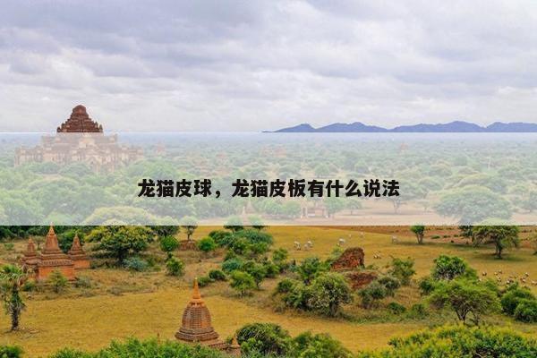 龙猫皮球，龙猫皮板有什么说法