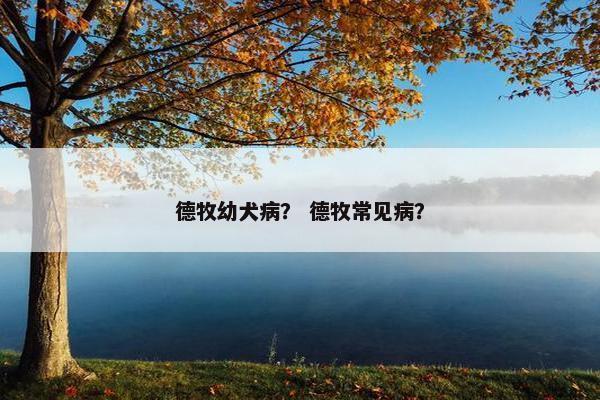 德牧幼犬病？ 德牧常见病？