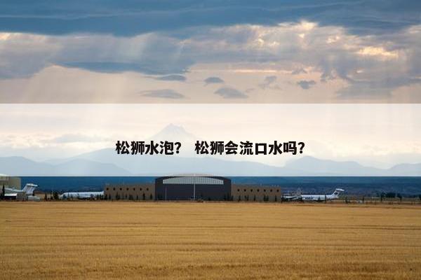 松狮水泡？ 松狮会流口水吗？