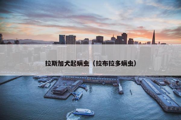 拉斯加犬起螨虫（拉布拉多螨虫）