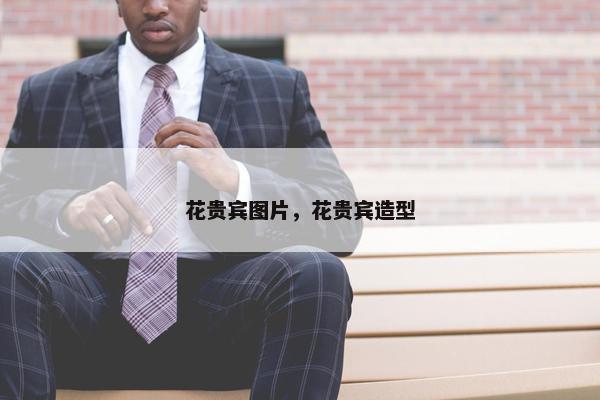 花贵宾图片，花贵宾造型