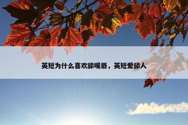 英短为什么喜欢舔嘴唇，英短爱舔人