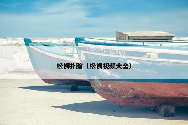 松狮扑脸（松狮视频大全）