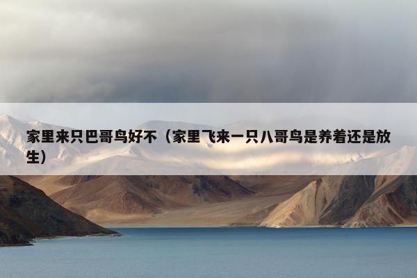 家里来只巴哥鸟好不（家里飞来一只八哥鸟是养着还是放生）