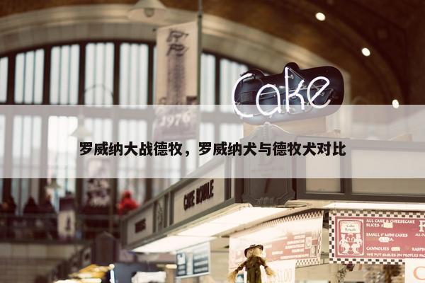 罗威纳大战德牧，罗威纳犬与德牧犬对比