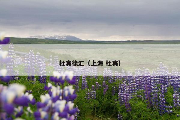 杜宾徐汇（上海 杜宾）