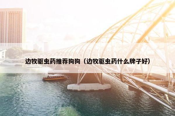 边牧驱虫药推荐狗狗（边牧驱虫药什么牌子好）