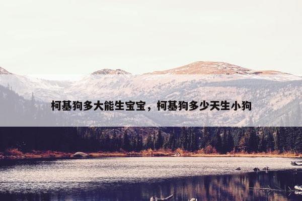 柯基狗多大能生宝宝，柯基狗多少天生小狗