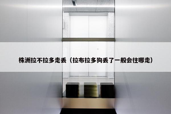 株洲拉不拉多走丢（拉布拉多狗丢了一般会往哪走）