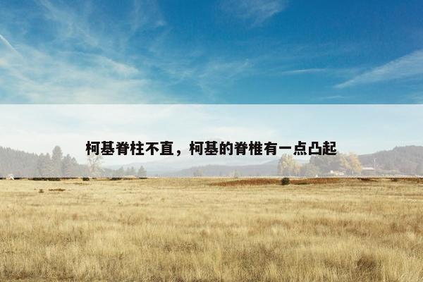 柯基脊柱不直，柯基的脊椎有一点凸起