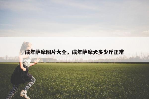 成年萨摩图片大全，成年萨摩犬多少斤正常