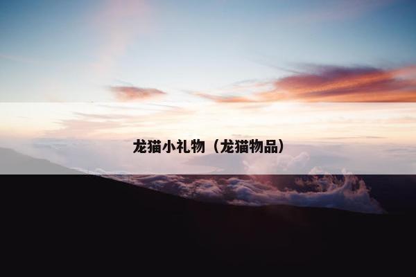 龙猫小礼物（龙猫物品）
