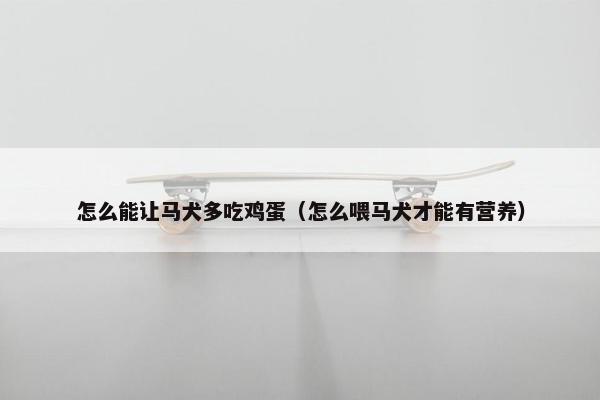 怎么能让马犬多吃鸡蛋（怎么喂马犬才能有营养）