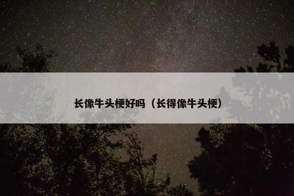 长像牛头梗好吗（长得像牛头梗）