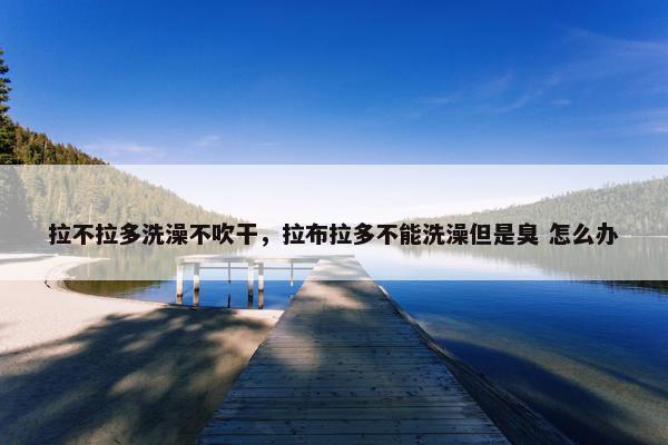 拉不拉多洗澡不吹干，拉布拉多不能洗澡但是臭 怎么办