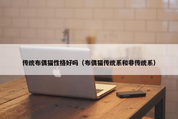 传统布偶猫性格好吗（布偶猫传统系和非传统系）