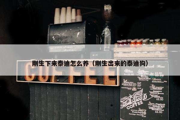 刚生下来泰迪怎么养（刚生出来的泰迪狗）