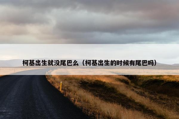 柯基出生就没尾巴么（柯基出生的时候有尾巴吗）