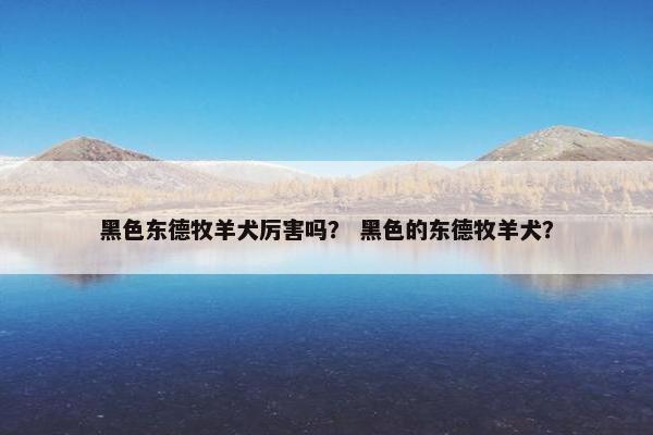 黑色东德牧羊犬厉害吗？ 黑色的东德牧羊犬？