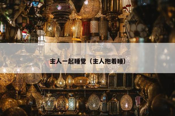 主人一起睡觉（主人抱着睡）