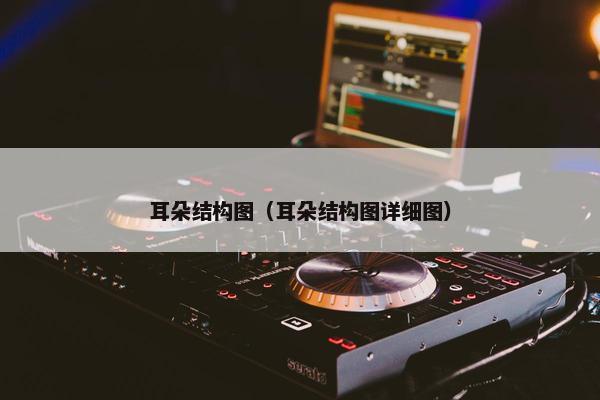 耳朵结构图（耳朵结构图详细图）