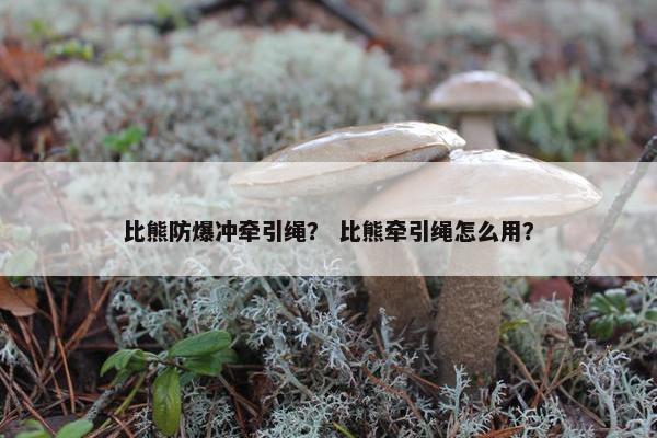 比熊防爆冲牵引绳？ 比熊牵引绳怎么用？
