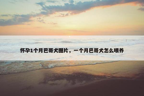 怀孕1个月巴哥犬图片，一个月巴哥犬怎么喂养