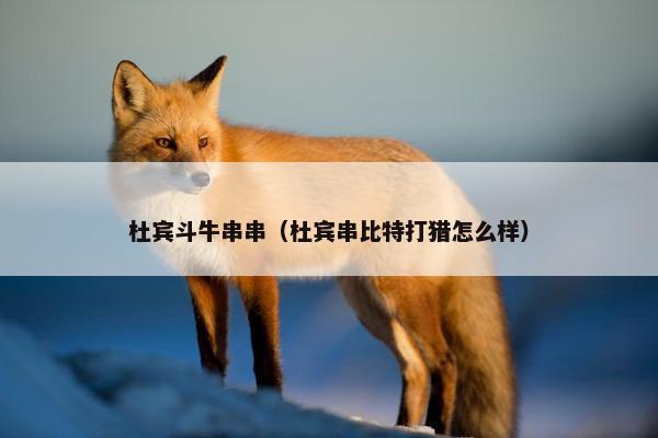 杜宾斗牛串串（杜宾串比特打猎怎么样）