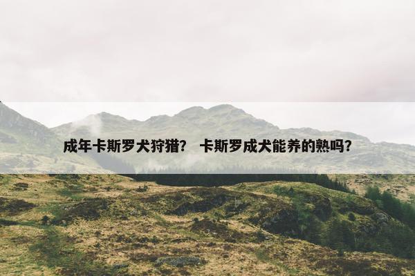 成年卡斯罗犬狩猎？ 卡斯罗成犬能养的熟吗？