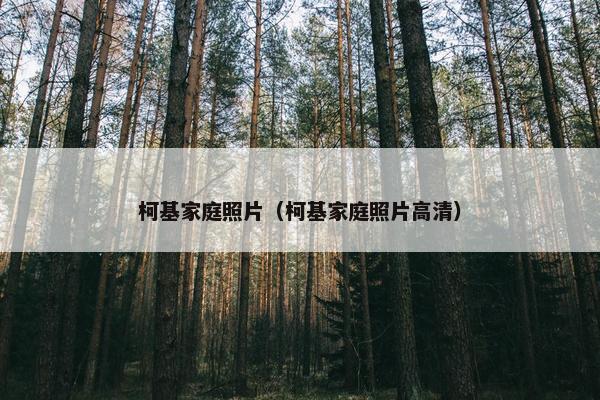 柯基家庭照片（柯基家庭照片高清）