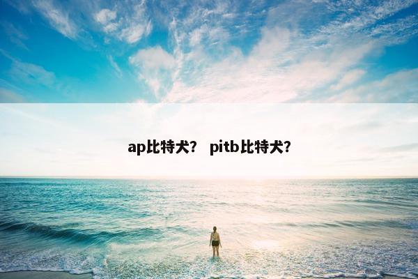 ap比特犬？ pitb比特犬？
