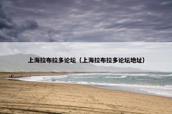 上海拉布拉多论坛（上海拉布拉多论坛地址）