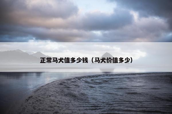 正常马犬值多少钱（马犬价值多少）