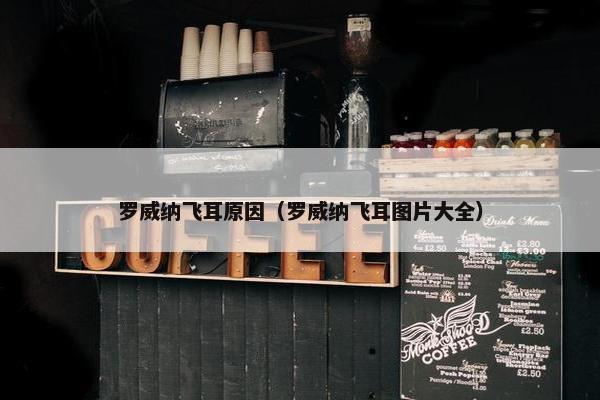 罗威纳飞耳原因（罗威纳飞耳图片大全）