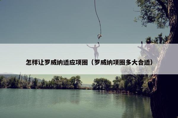 怎样让罗威纳适应项圈（罗威纳项圈多大合适）