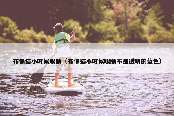 布偶猫小时候眼睛（布偶猫小时候眼睛不是透明的蓝色）