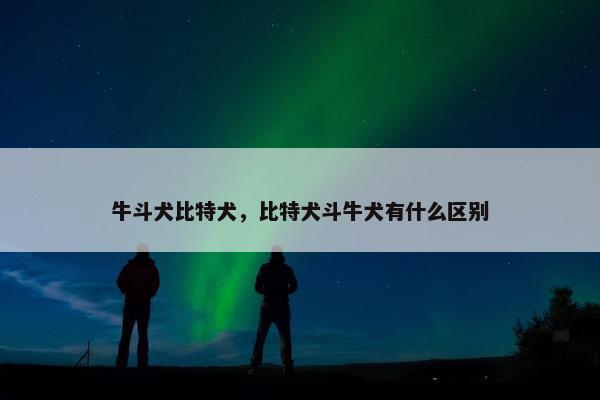 牛斗犬比特犬，比特犬斗牛犬有什么区别