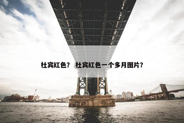 杜宾红色？ 杜宾红色一个多月图片？