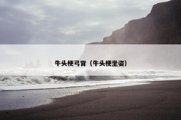 牛头梗弓背（牛头梗坐姿）