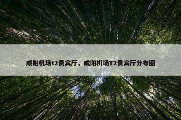 咸阳机场t2贵宾厅，咸阳机场T2贵宾厅分布图